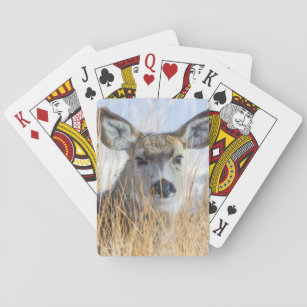 Wyoming, Sublette County, Mule Deer doe resting Playing Cards