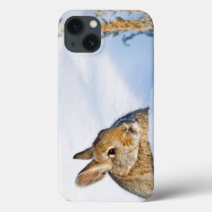 Wyoming, Sublette County, Nuttall's Cottontail 1 iPhone 13 Case
