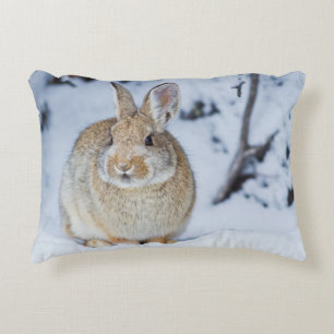 Wyoming, Sublette County, Nuttall's Cottontail Decorative Cushion
