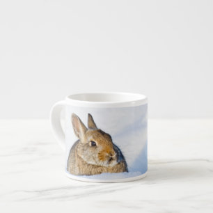 Wyoming, Sublette County, Nuttall's Cottontail Espresso Cup