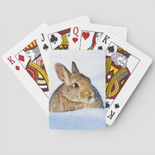 Wyoming, Sublette County, Nuttall's Cottontail Playing Cards