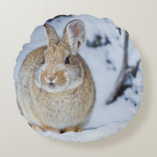 Wyoming, Sublette County, Nuttall's Cottontail Round Cushion