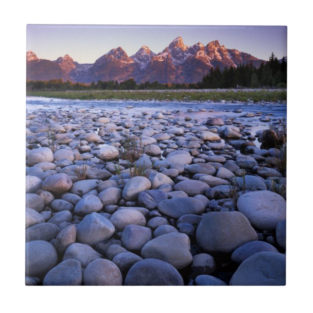 Wyoming, Teton National Park, Snake River Tile (Front)