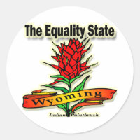 Wyoming The Equality State Indian Paintbrush
