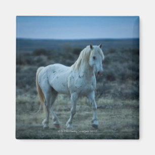 wyoming, united states of america magnet