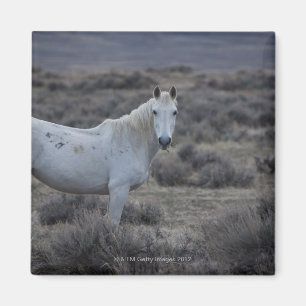 wyoming, united states of america magnet