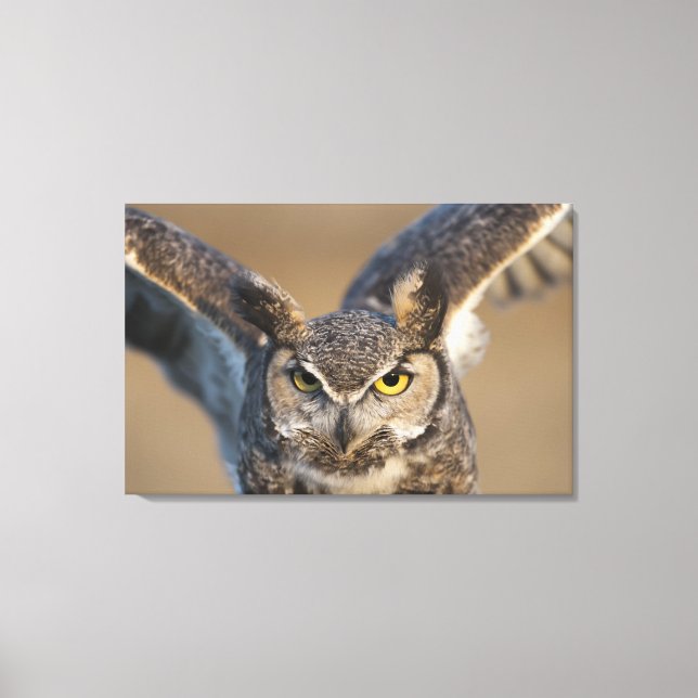 Wyoming, USA Canvas Print (Front)