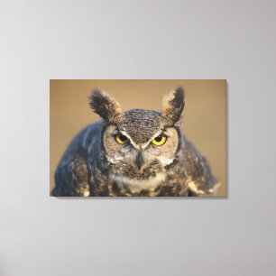 wyoming, usa canvas print