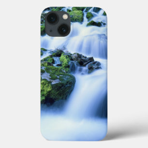 Wyoming. USA. Periodic Spring during period of iPhone 13 Case