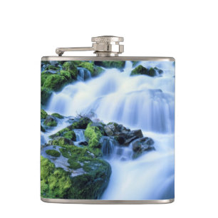 Wyoming. USA. Periodic Spring during period of Hip Flask