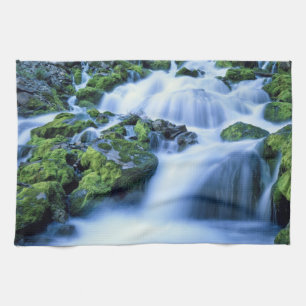 Wyoming. USA. Periodic Spring during period of Tea Towel