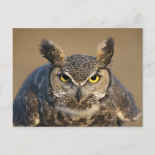 wyoming, usa postcard