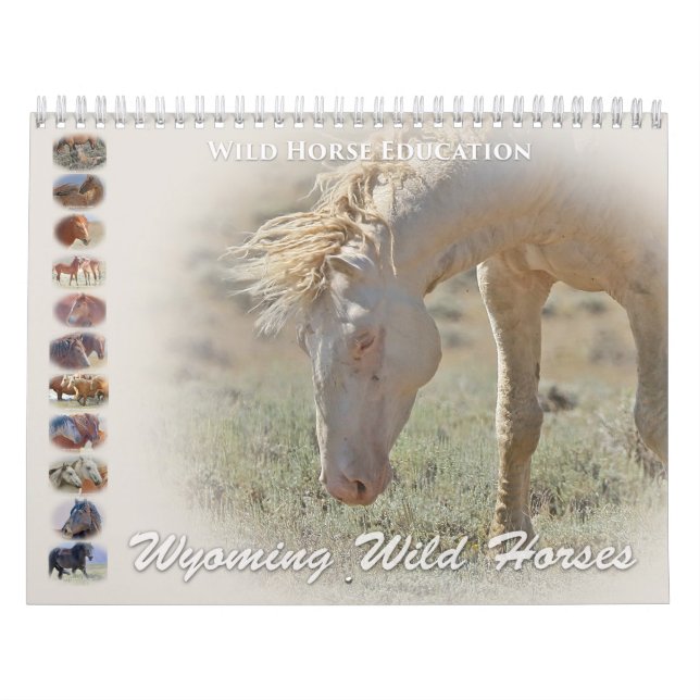 Wyoming Wild Horses Calendar (Cover)