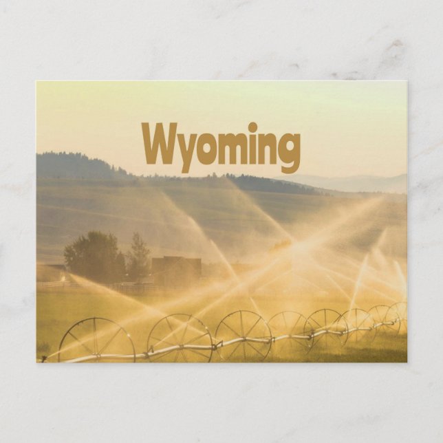 Wyoming Wild West Farm Land Ranch Postcard (Front)