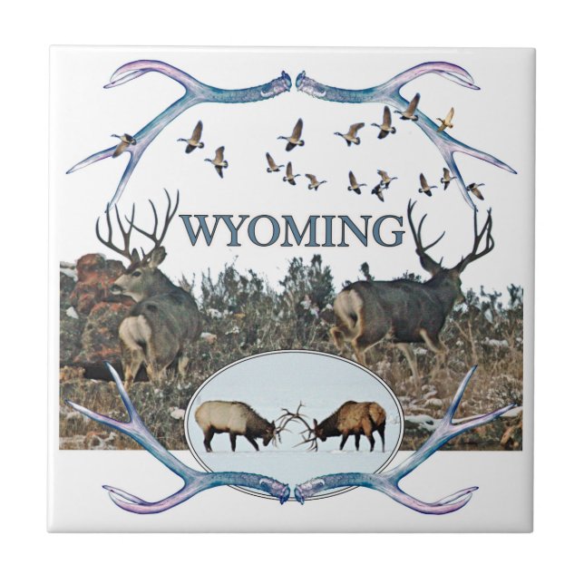 WYOMING wildlife Tile (Front)