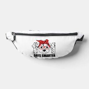 wysstinneat bum bags