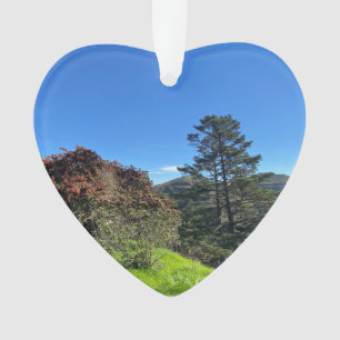 X.ITINERARIES: SF's Peaks Ornament