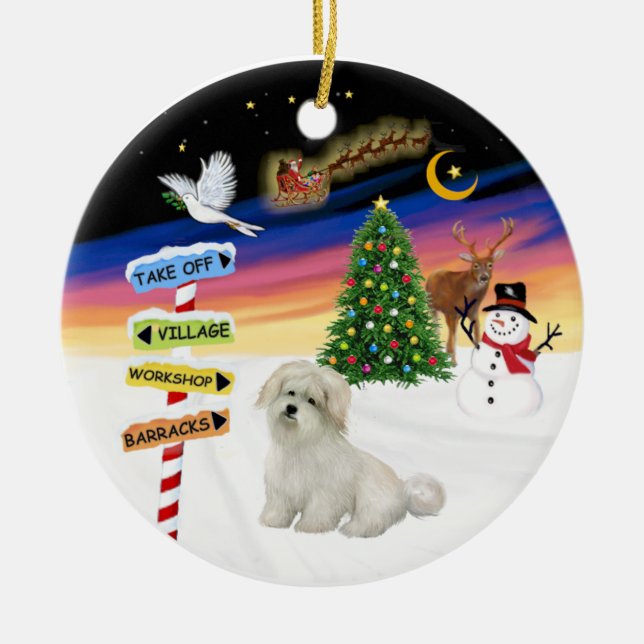 X Mas Signs- Coton de Tulear Ceramic Tree Decoration (Front)