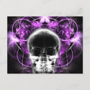 X-Ray Butterfly Fractal Skull - Fuchsia Postcard