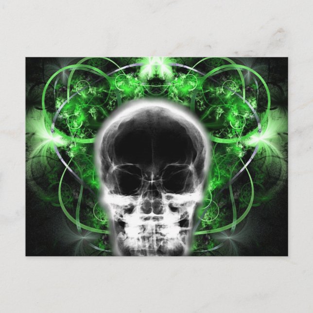  X-Ray Butterfly Fractal Skull - Green Postcard (Front)