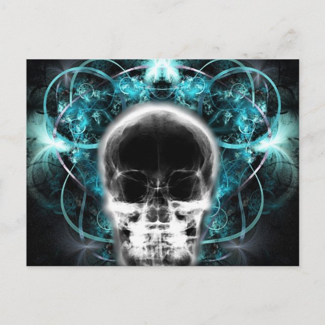  X-Ray Butterfly Fractal Skull - Light Blue Postcard (Front)