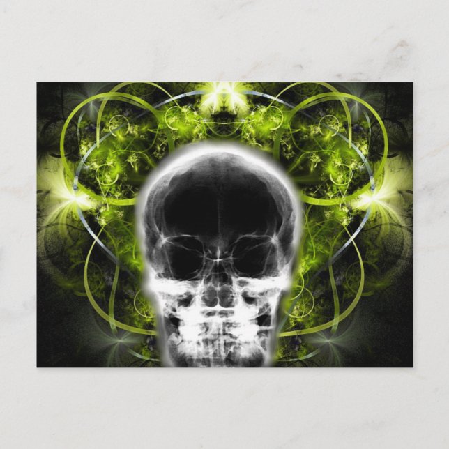  X-Ray Butterfly Fractal Skull - Lime Green Postcard (Front)