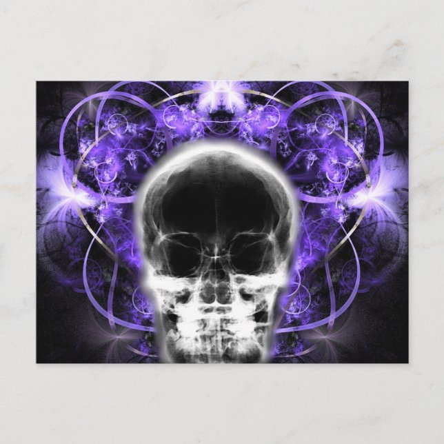  X-Ray Butterfly Fractal Skull - Purple  Postcard (Front)