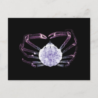 X-Ray Crab Postcard
