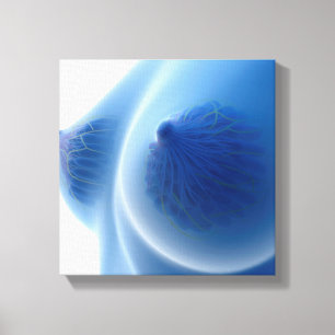 X-Ray Image Of Female Breast Anatomy Canvas Print