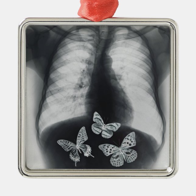 X-ray of butterflies in the stomach metal tree decoration (Front)