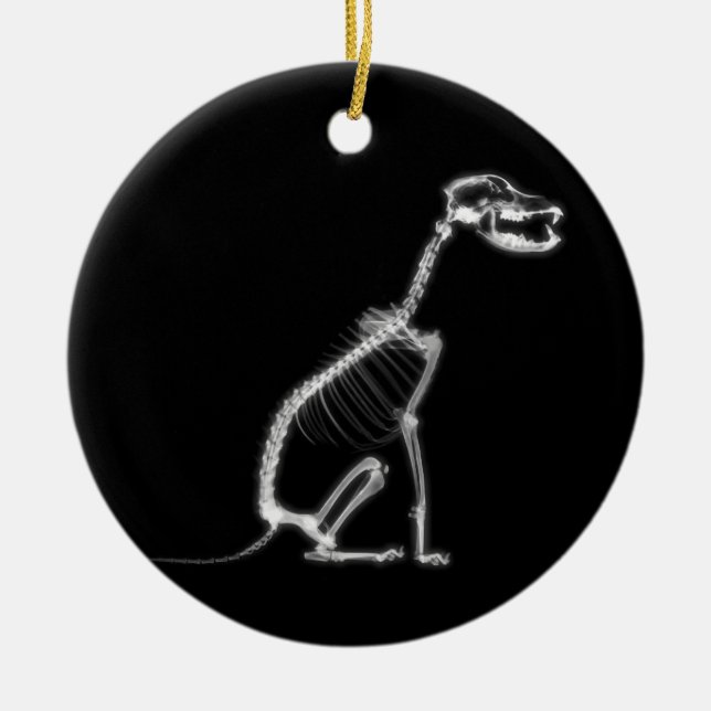 X-RAY PUPPY DOG SKELETON SITTING - B&W CERAMIC TREE DECORATION (Front)