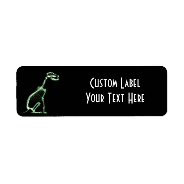 X-RAY PUPPY DOG SKELETON SITTING - GREEN (Front)
