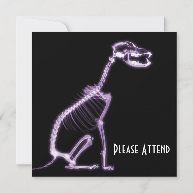 X-RAY PUPPY DOG SKELETON SITTING - PURPLE INVITATION (Front)