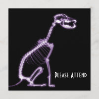 X-RAY PUPPY DOG SKELETON SITTING - PURPLE