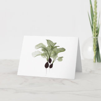X-ray: Radish notecard
