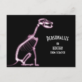 X-Ray Skeleton Dog - Pink Postcard
