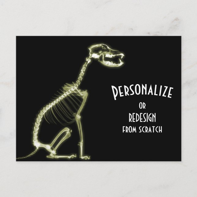 X-Ray Skeleton Dog - Yellow Postcard (Front)