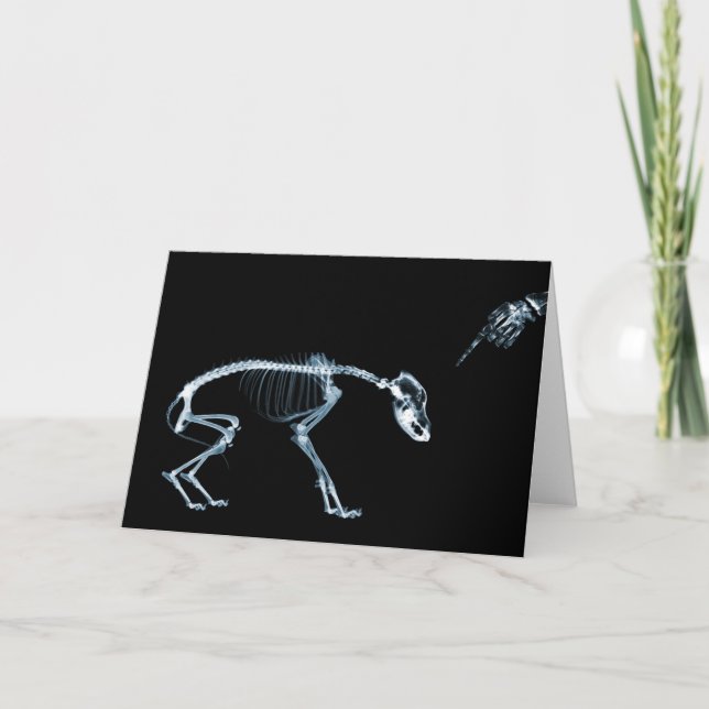 X-Ray Skeletons Bad Dog Blue Card (Front)