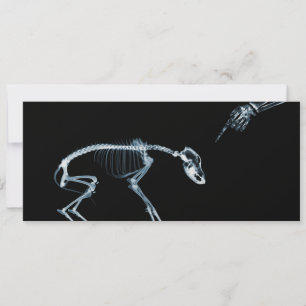 X-Ray Skeletons Blue Bad Dog Invites