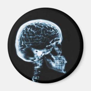 X-RAY SKULL BRAIN - BLUE MAGNET