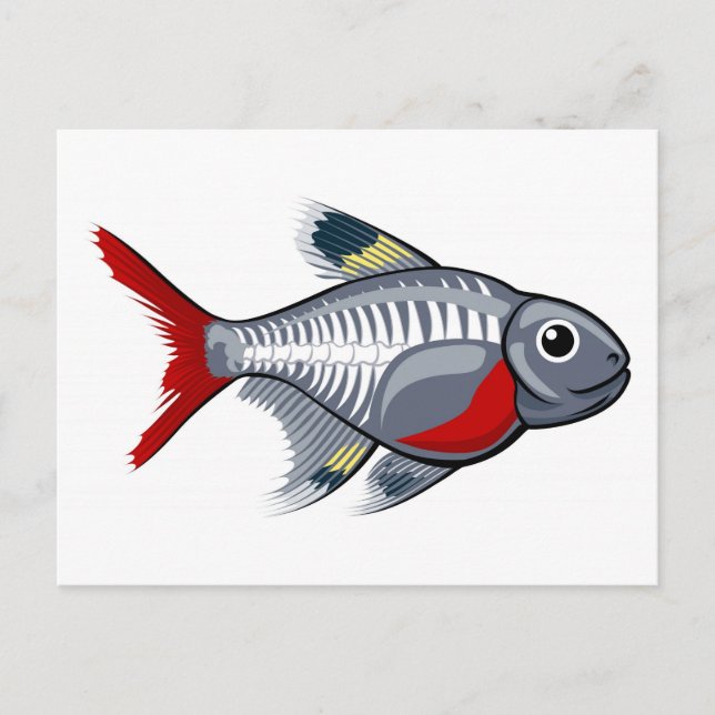 X-ray tetra cartoon fish postcard (Front)