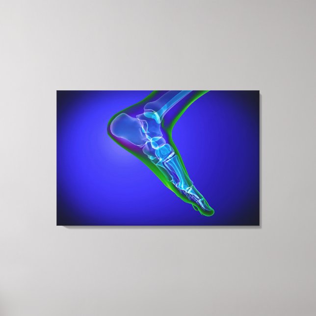 X-Ray View Of Human Foot 1 Canvas Print (Front)