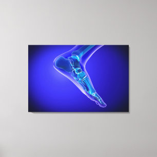 X-Ray View Of Human Foot 3 Canvas Print