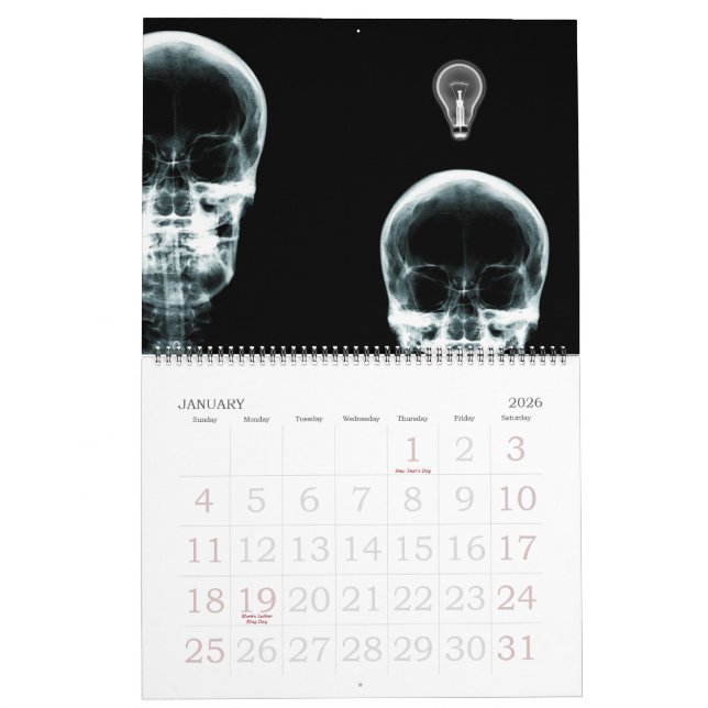 X-Ray Vision Skeleton Collection 2012 Calendar (Jan 2026)