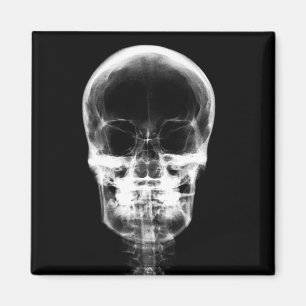 X-RAY VISION SKELETON SKULL - B&W MAGNET