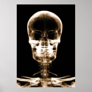 X-RAY VISION SKELETON SKULL - ORANGE POSTER