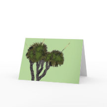 Xanthorrhoea on green