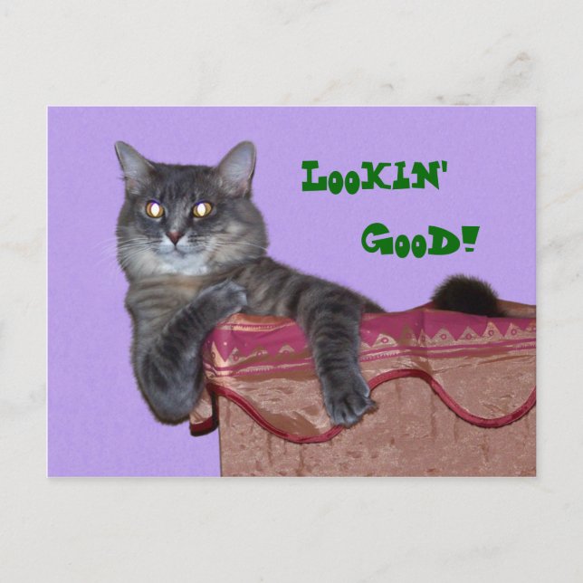 Xena Chillin' Postcard - Customised (Front)