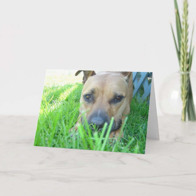 Xena in card (Front)