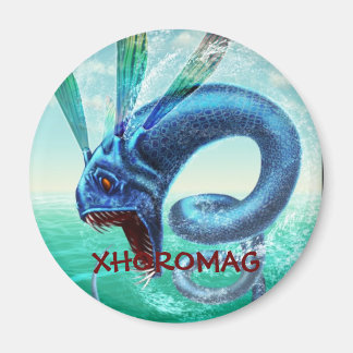 Xhoromag 10 magnet